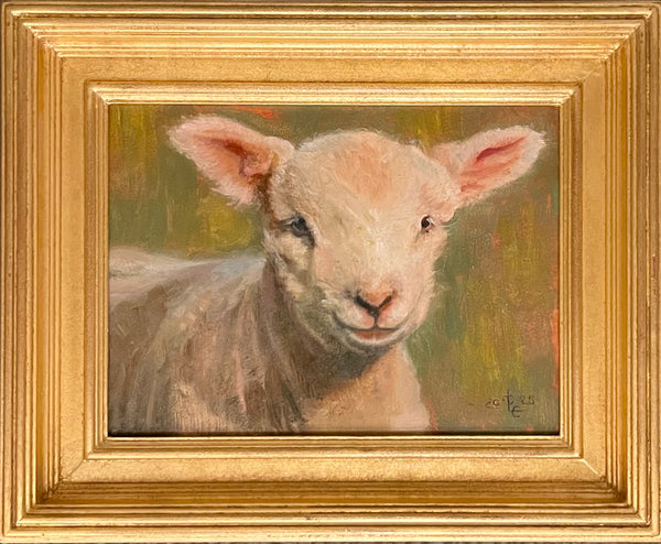Lamb With Blemish