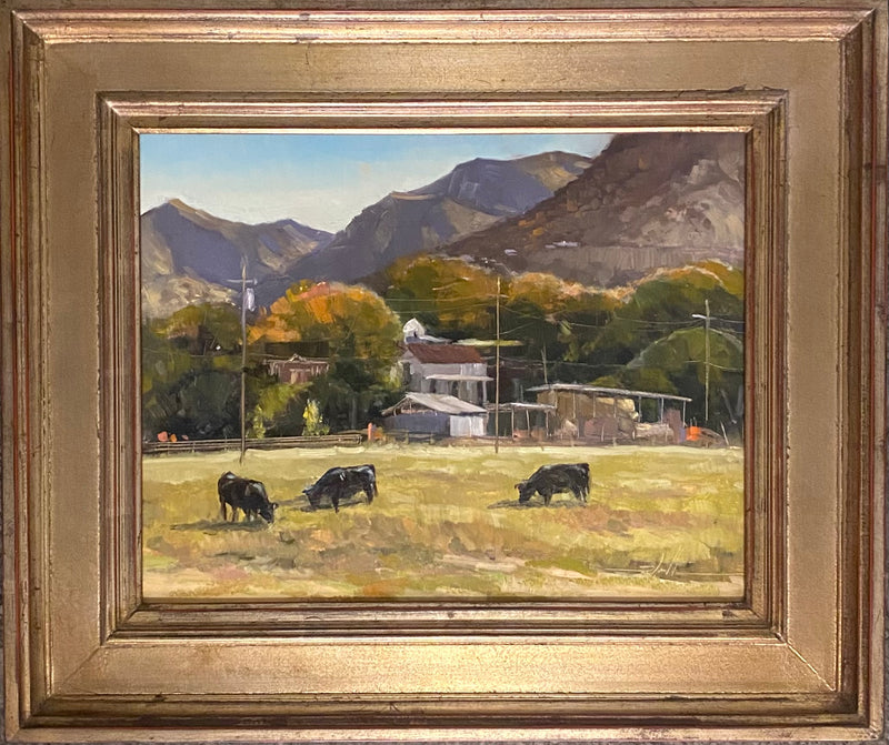 Pastoral Serenity on Cottonwood Lane