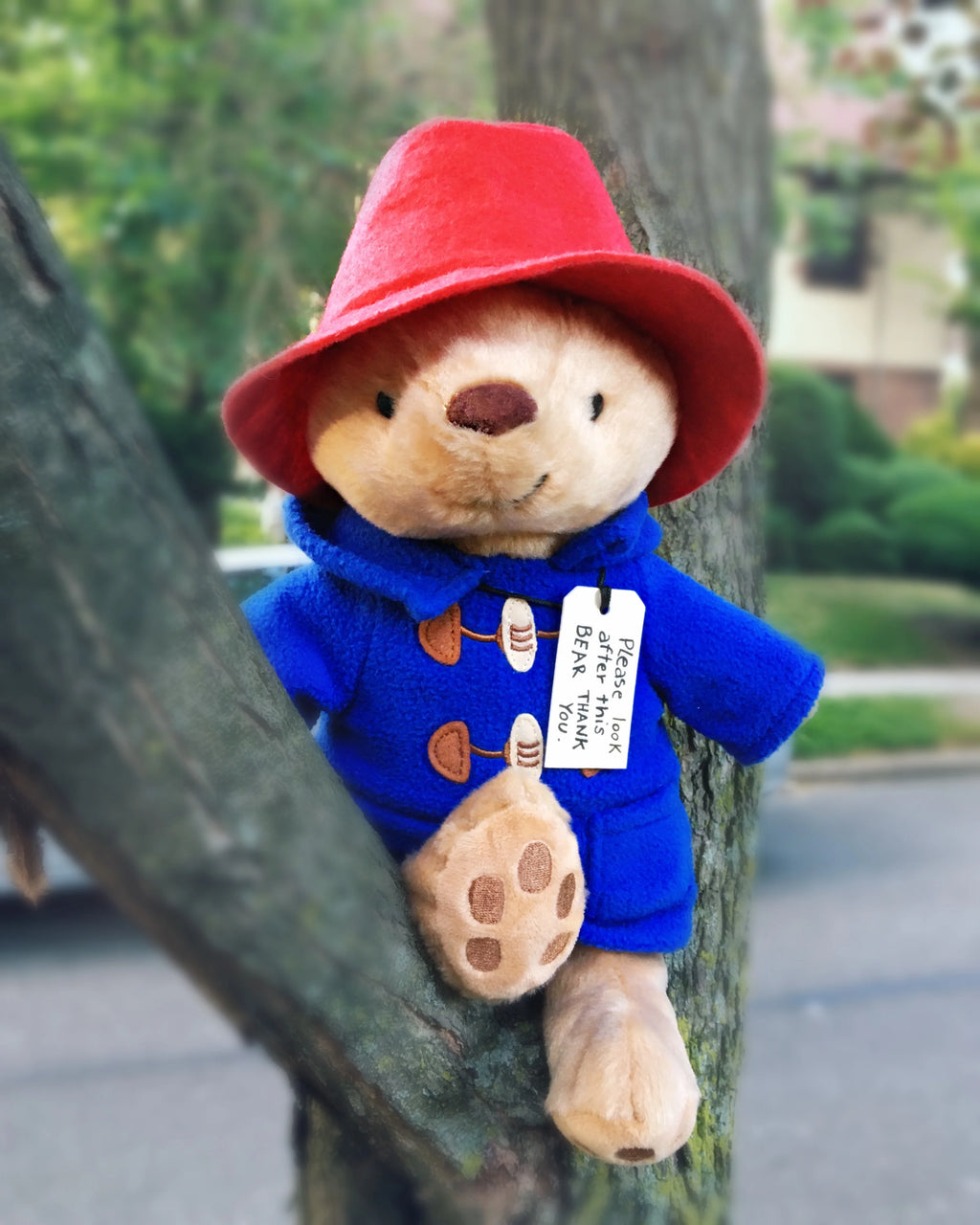 Classic Seated Paddington Bear Soft Toy