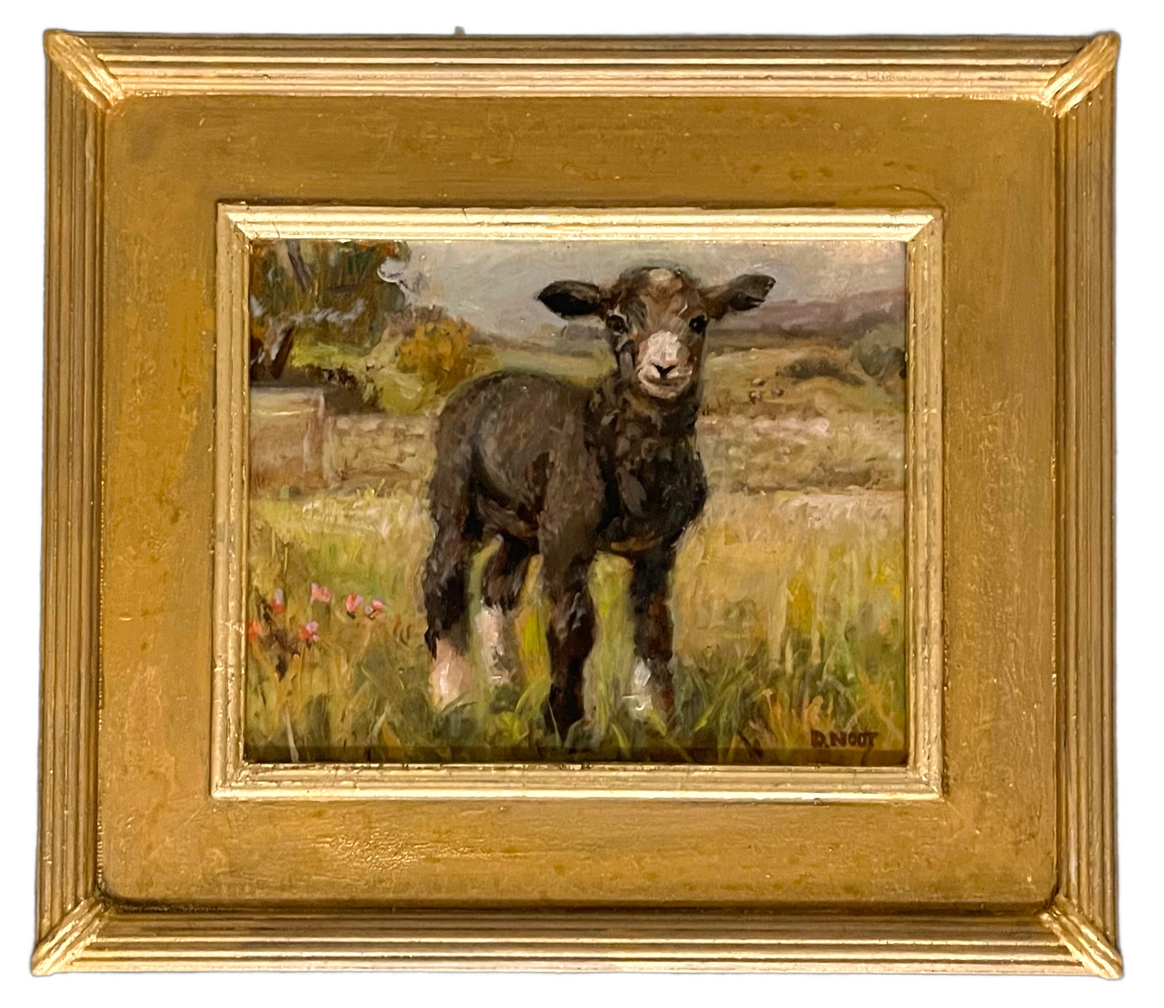 Black Sheep Early On