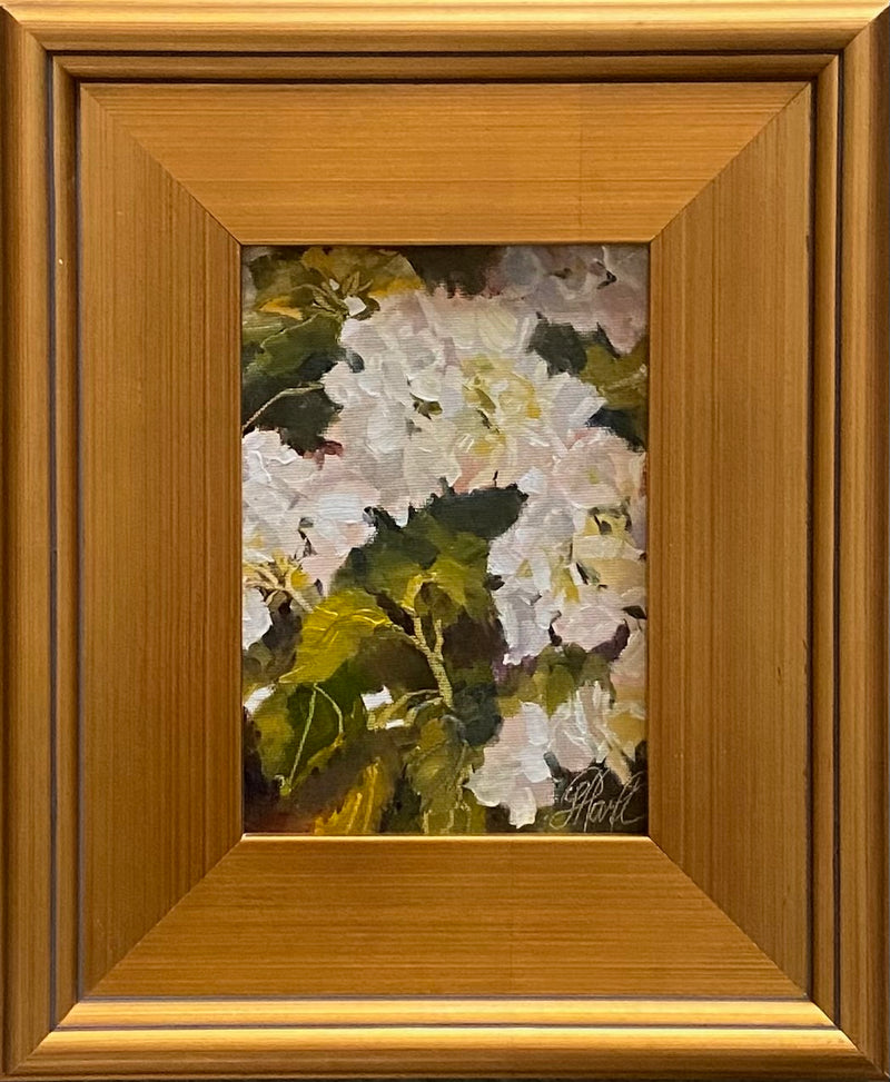 Hiding Hydrangeas