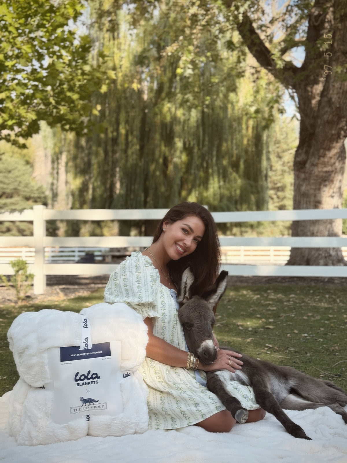 Solid Lola Blankets by The Fox Group
