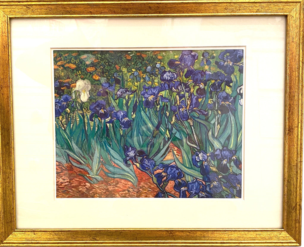 Van Gogh “Irises”