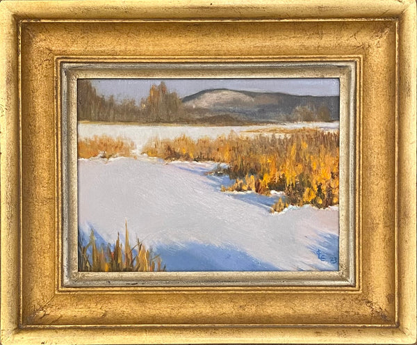 Tall Yellow Grass in Snow