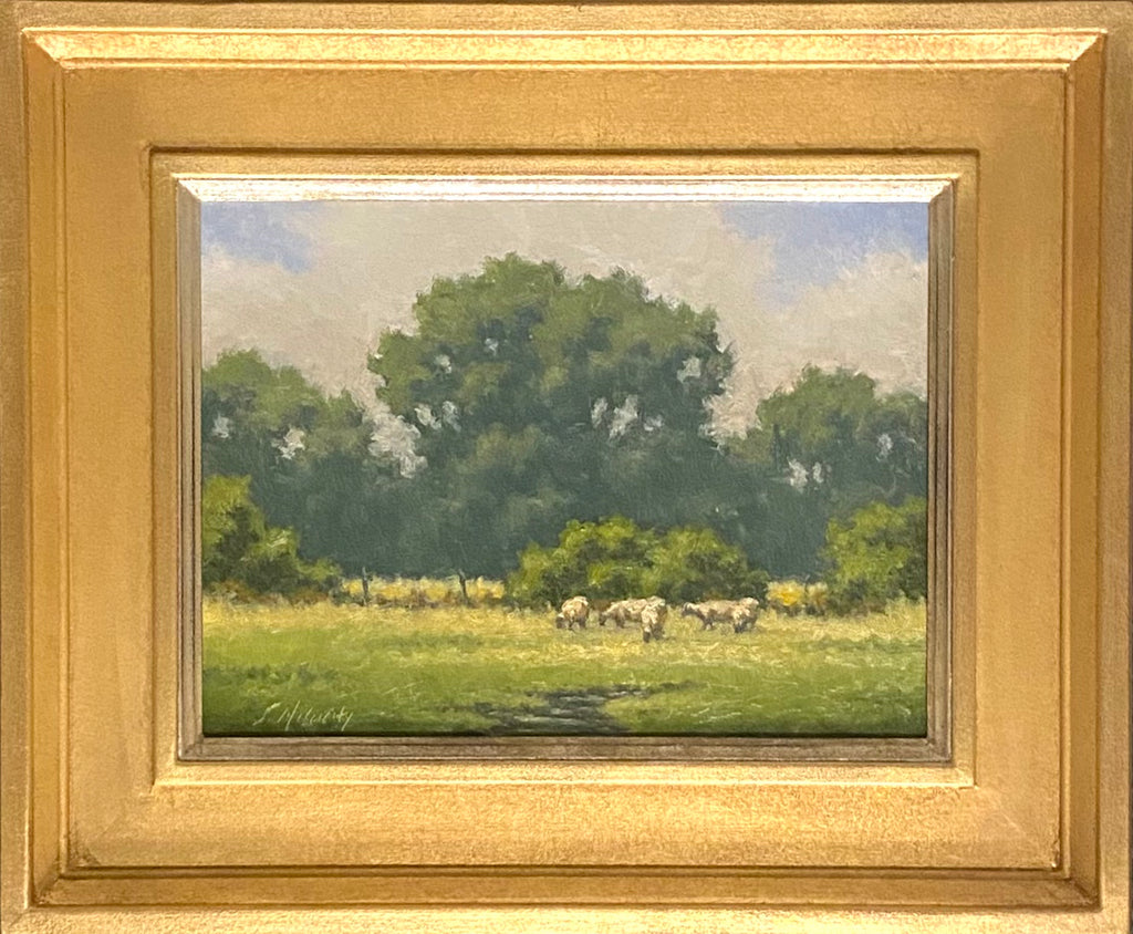 Near the Cottonwoods