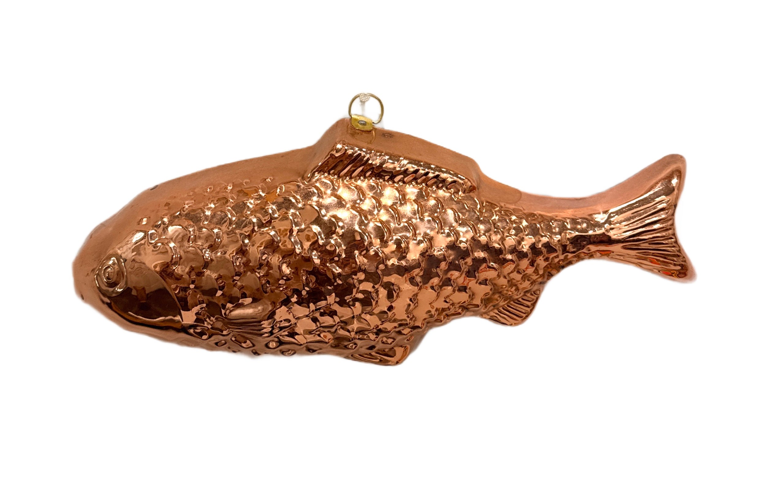Copper Fish
