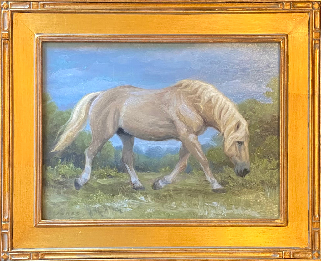 Palomino in Profile