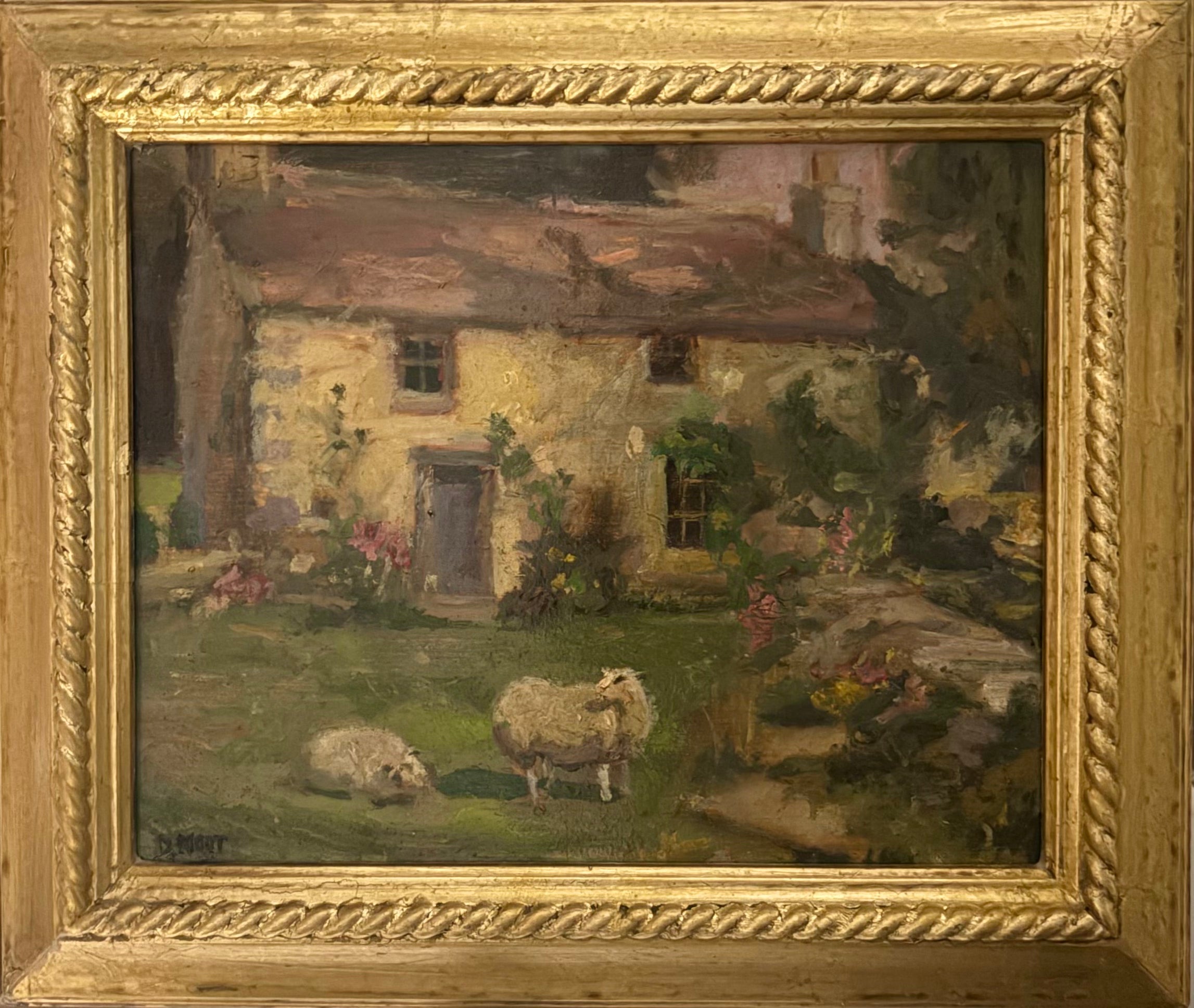 Sheep of Comfort