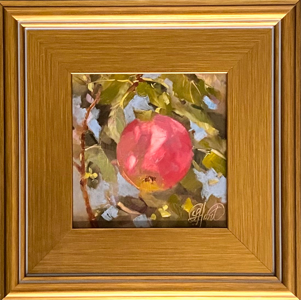 Orchard Light