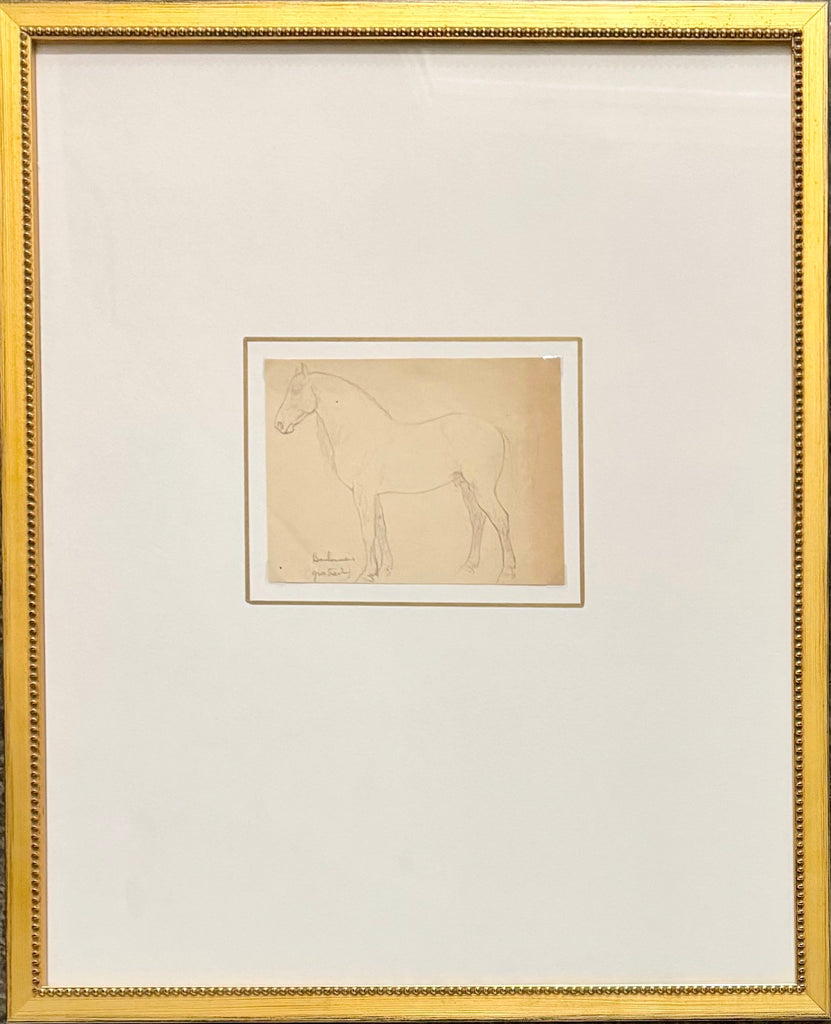 Horse Pencil Sketch