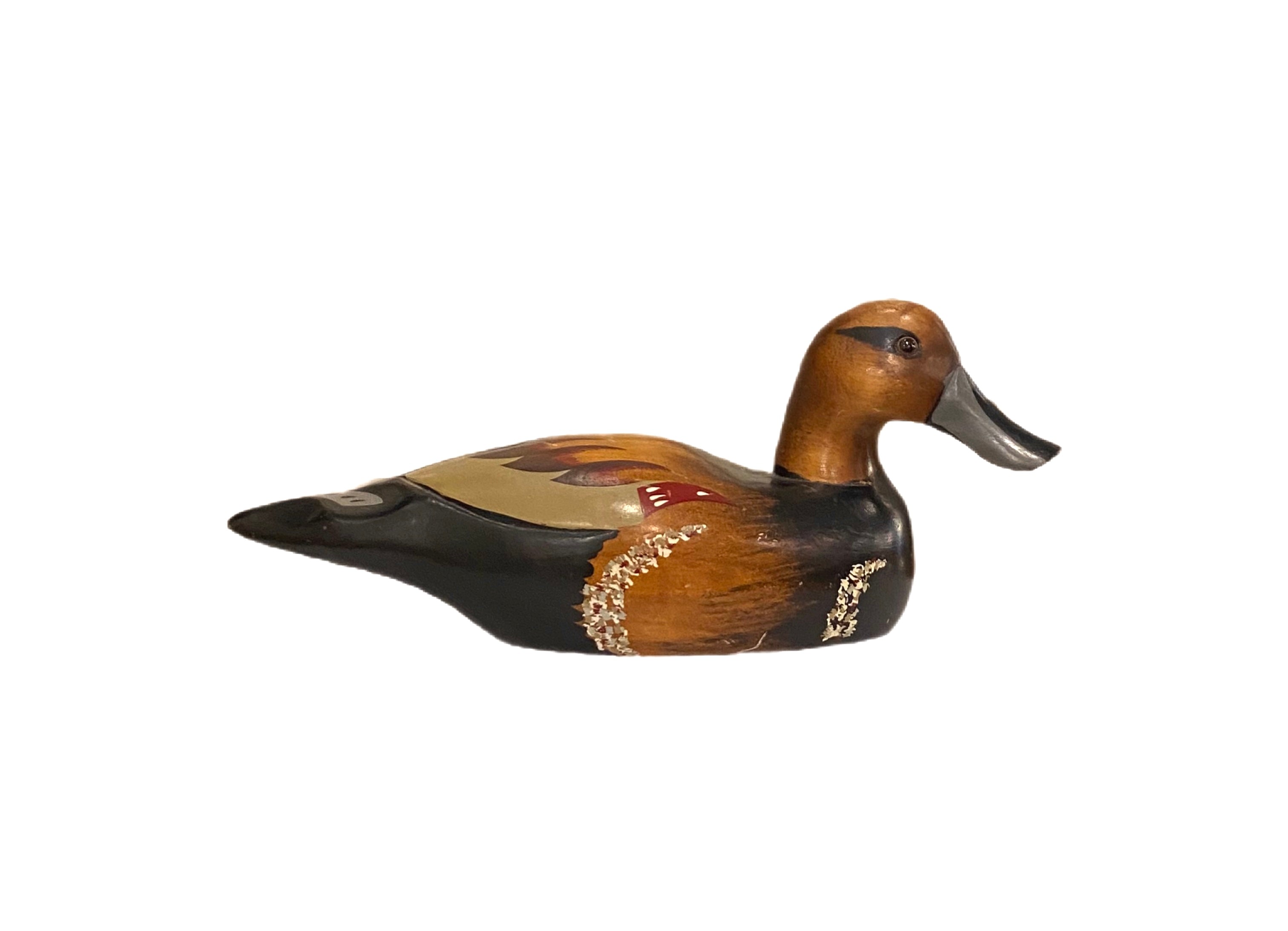 Wigeon Drake Duck
