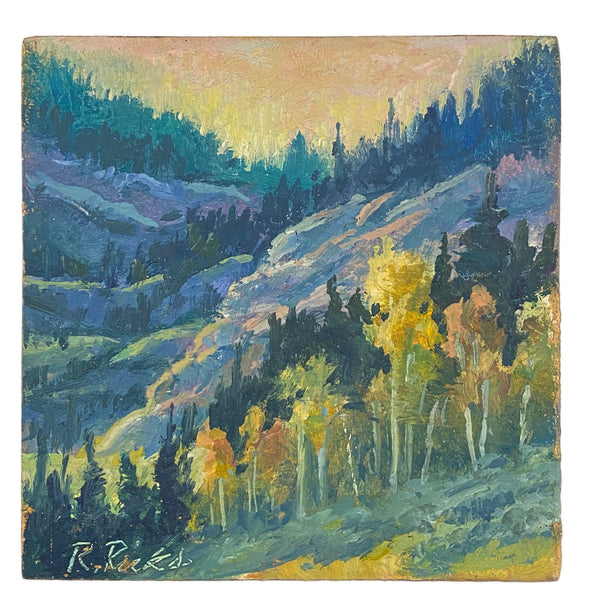 Timpanookee Cirque