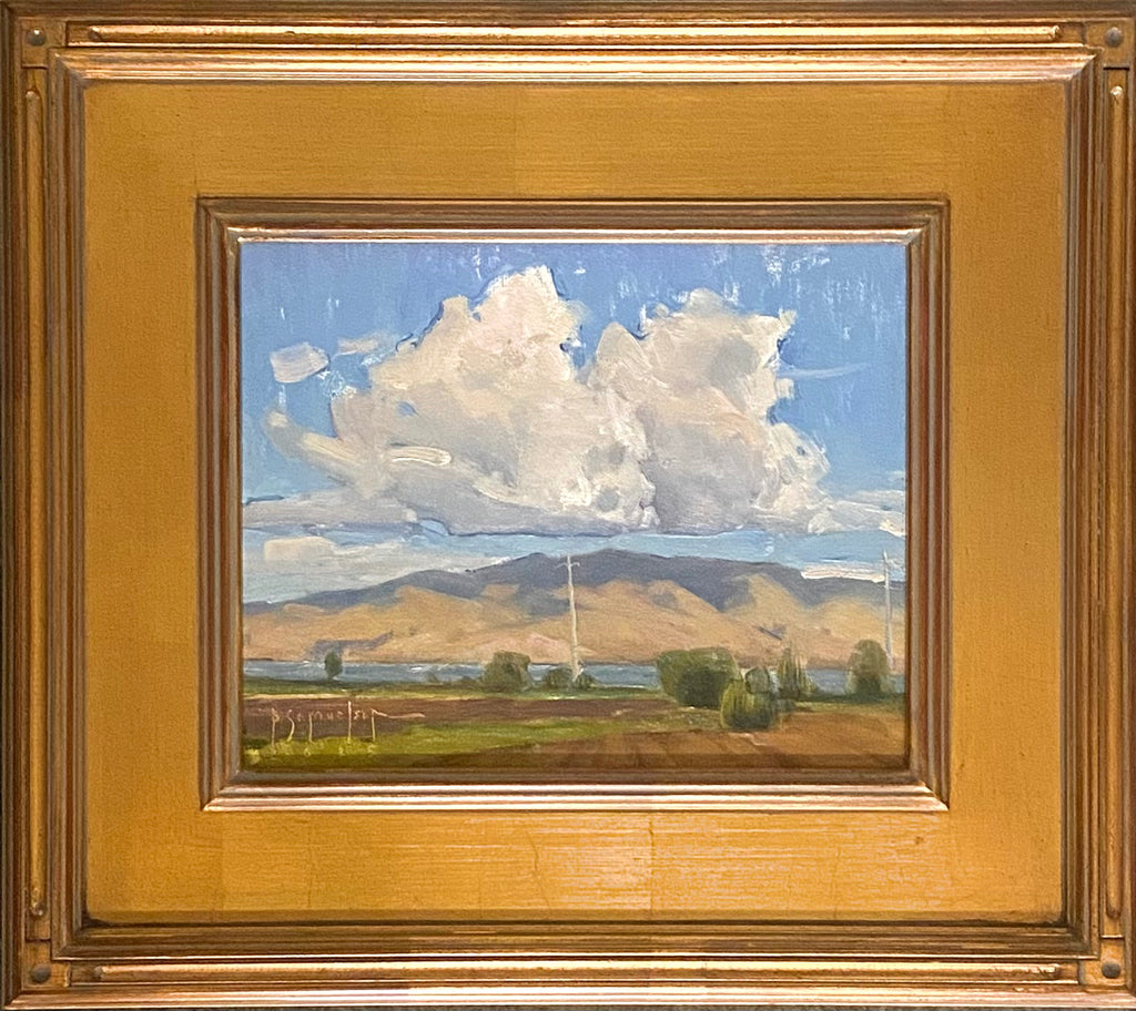 Lakeview Farmland