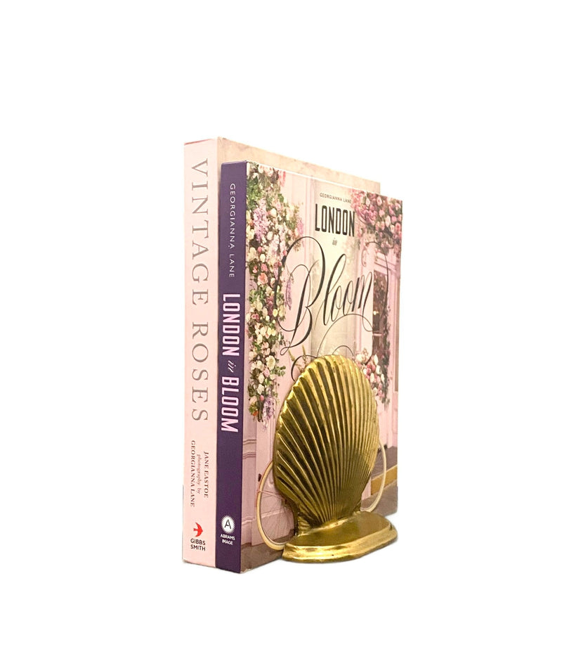 Seashell Bookends