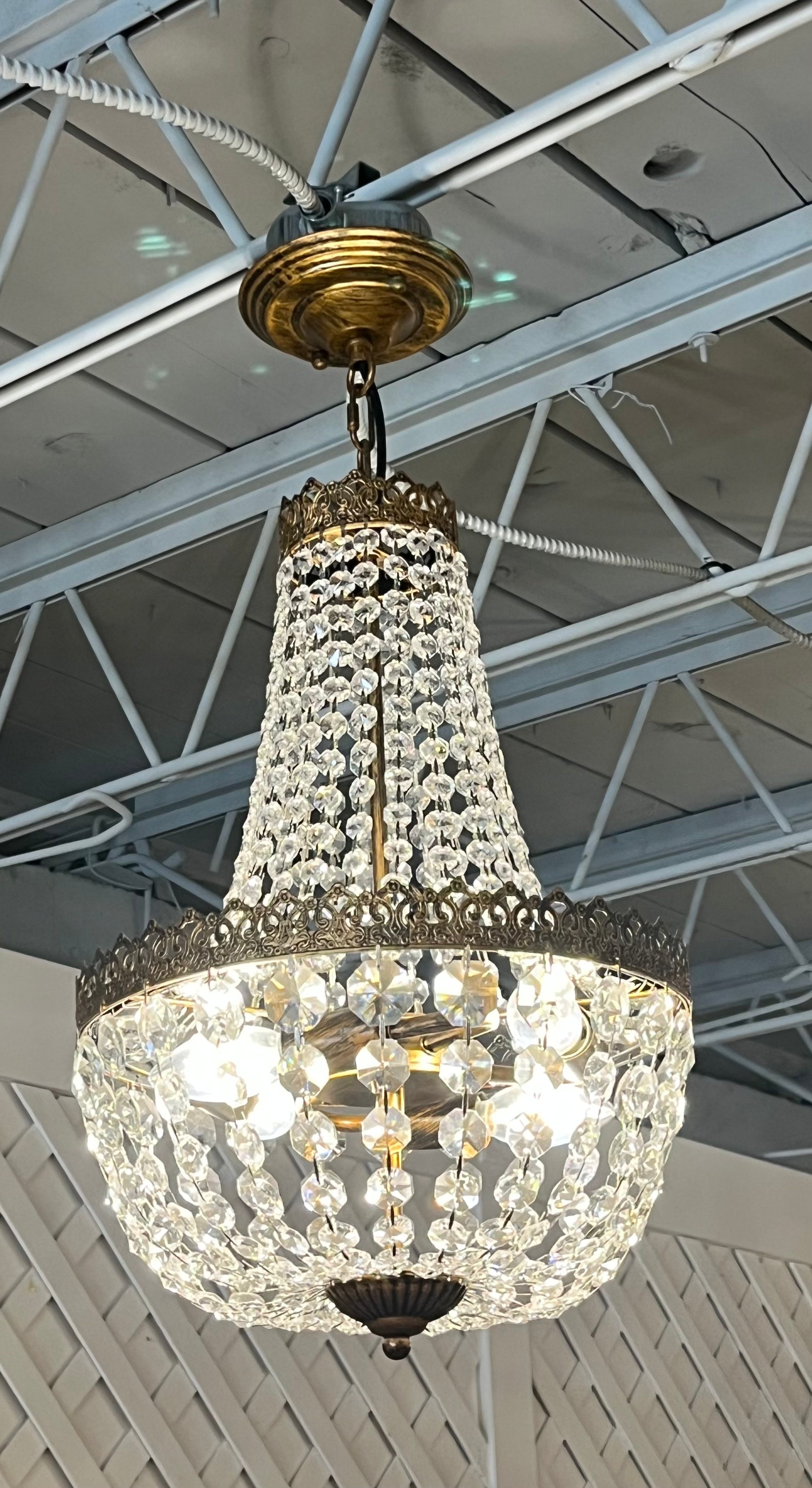 Fox Shop Chandelier