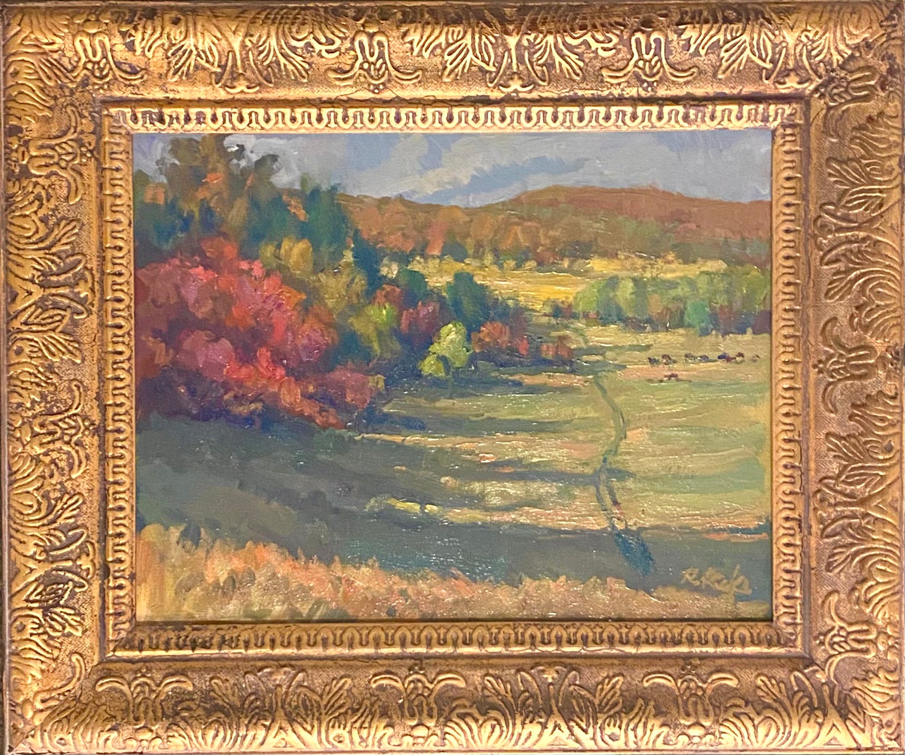 Long Morning Shadows