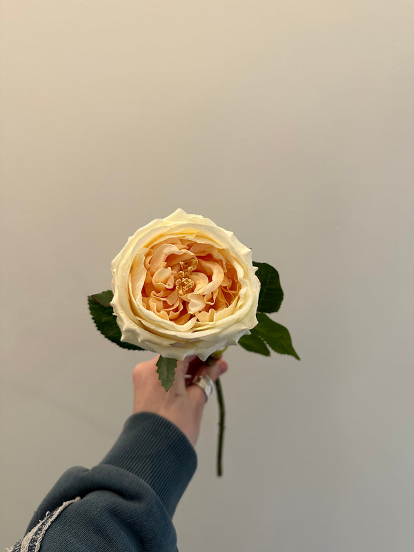 Real Touch Rose - Peach