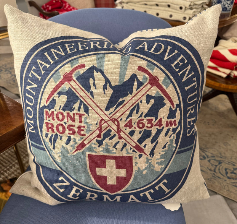 Winter Ski Pillows