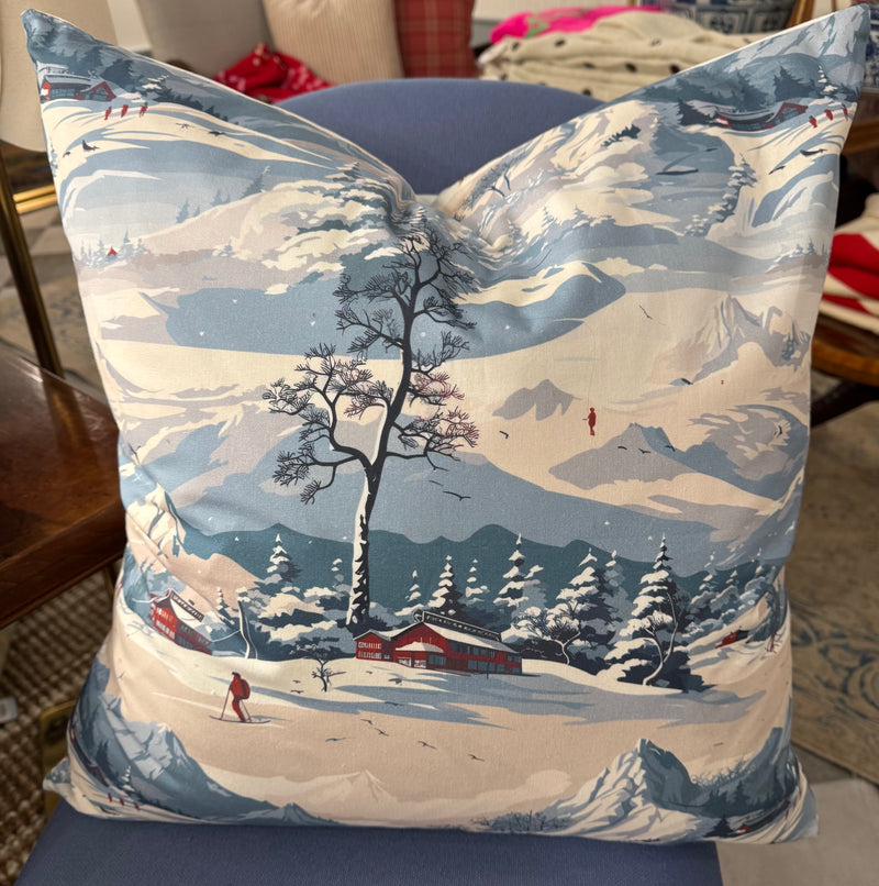 Winter Ski Pillows