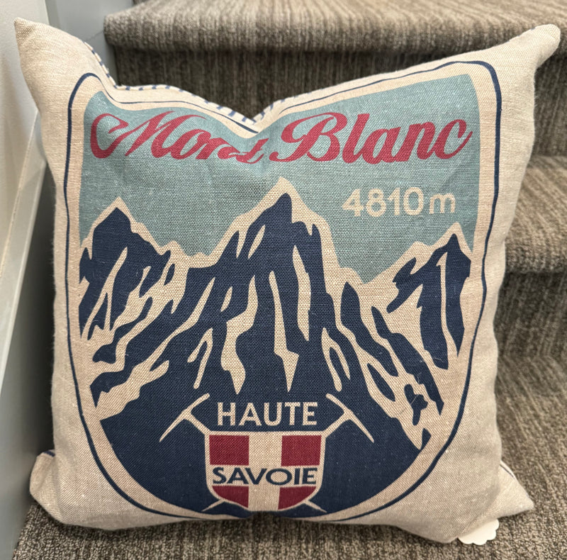 Winter Ski Pillows