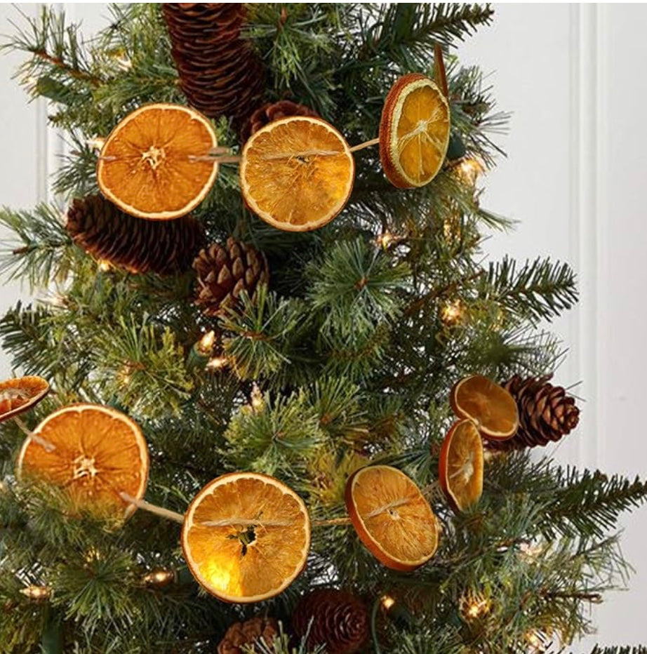 Real Orange Slices Garland