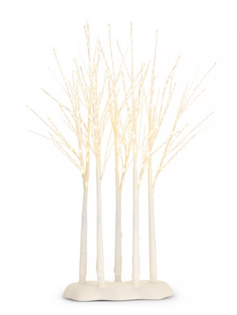Lighted Birch Grove