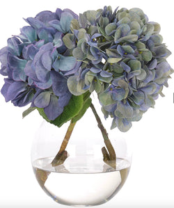 Blue Hydrangea in Vase