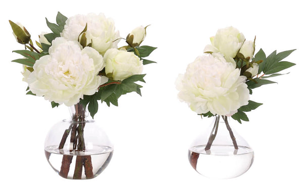 Peony, Set of 2