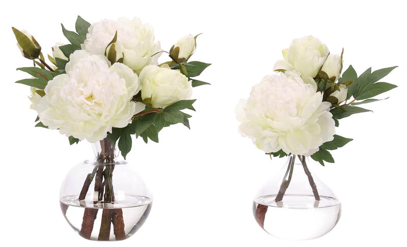 Peony, Set of 2