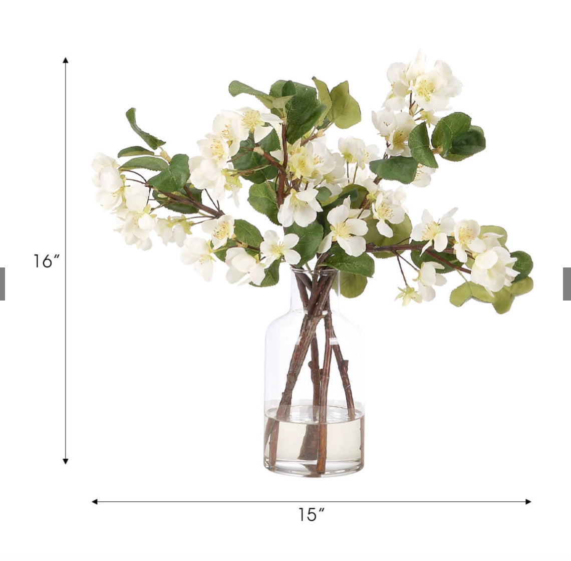 Pear Blossom Branches in Vase