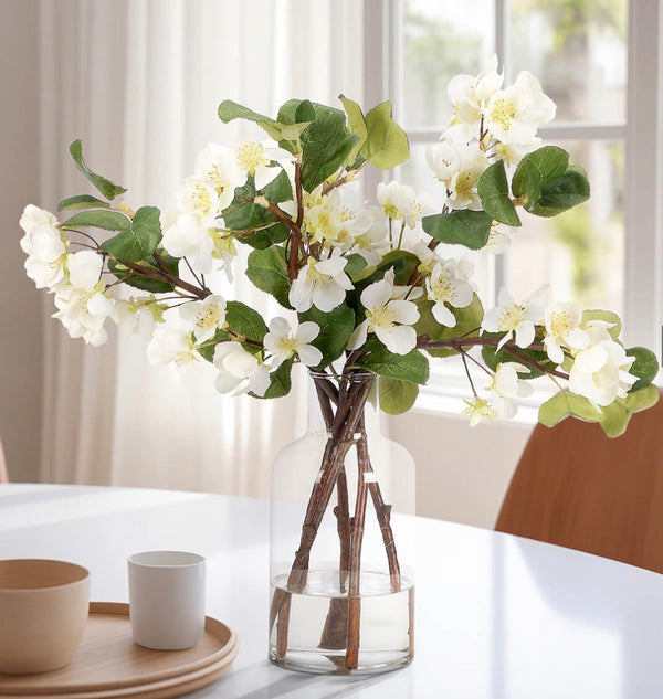 Pear Blossom Branches in Vase