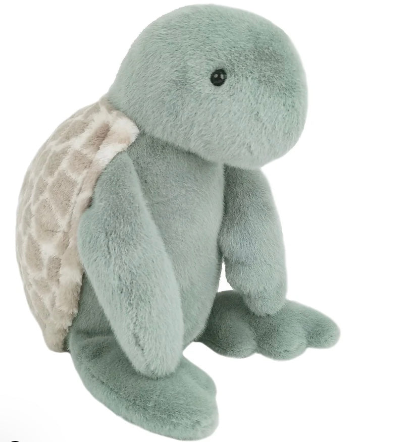 Taylor Turtle