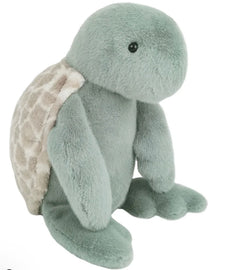 Taylor Turtle