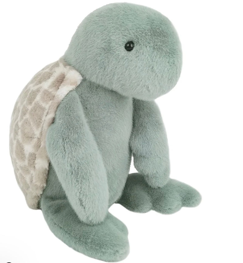 Taylor Turtle