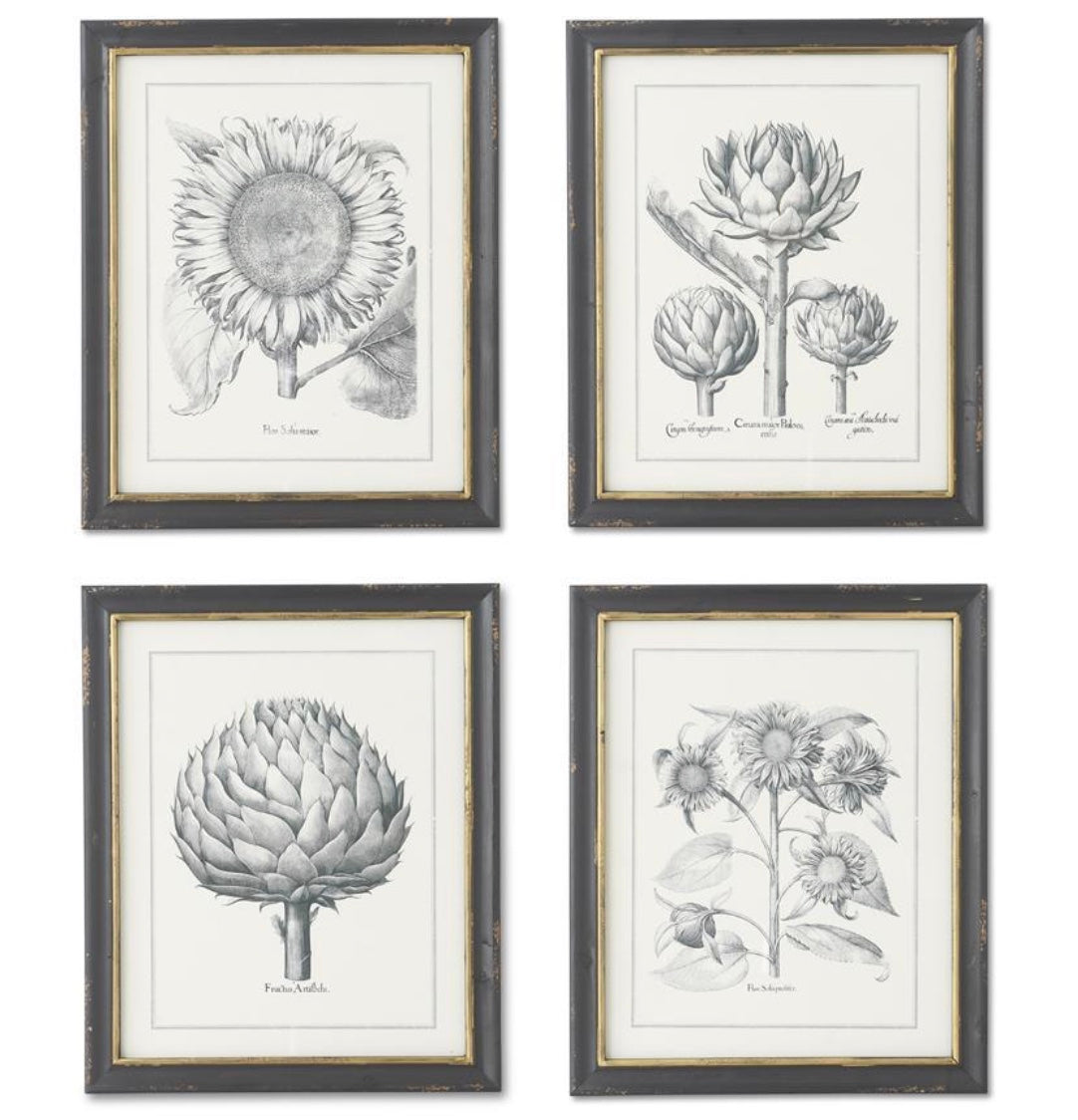 Sunflower & Artichoke Prints, Asst.