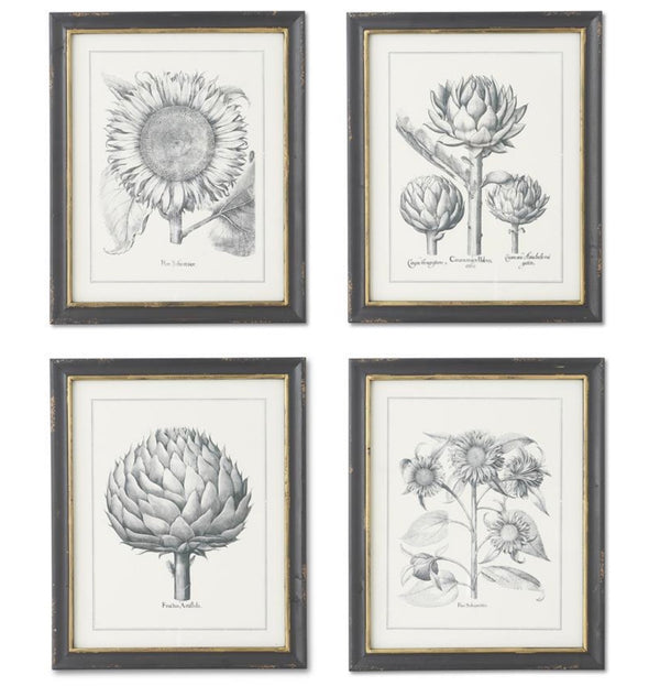 Sunflower & Artichoke Prints, Asst.