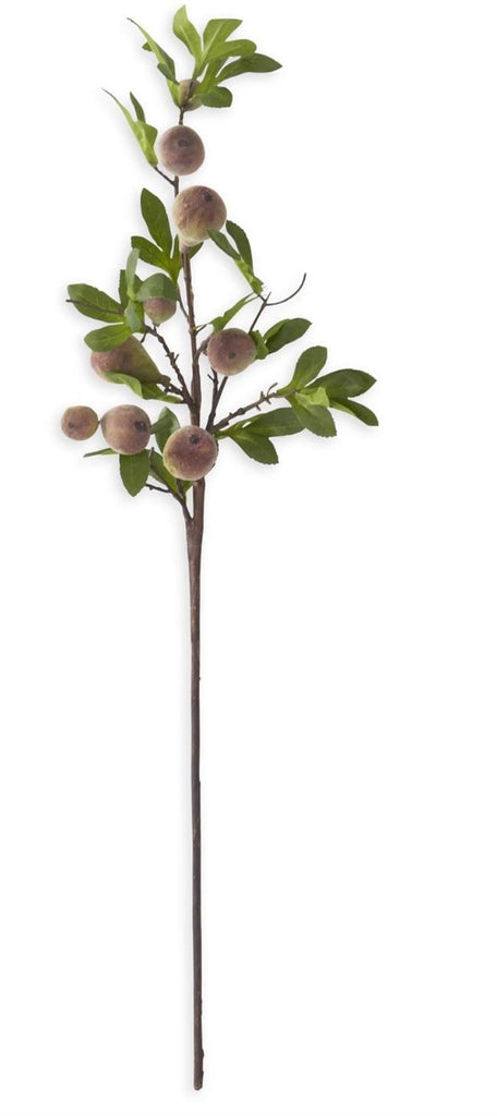 Flocked Fig Stem