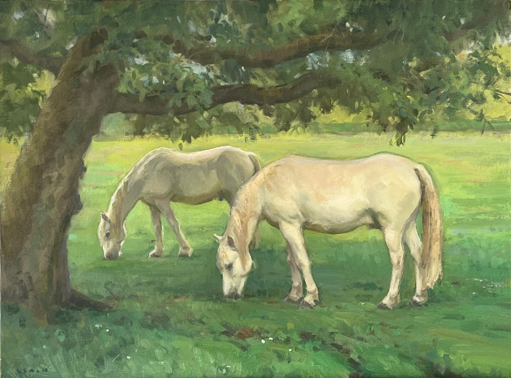 Les Chevaux