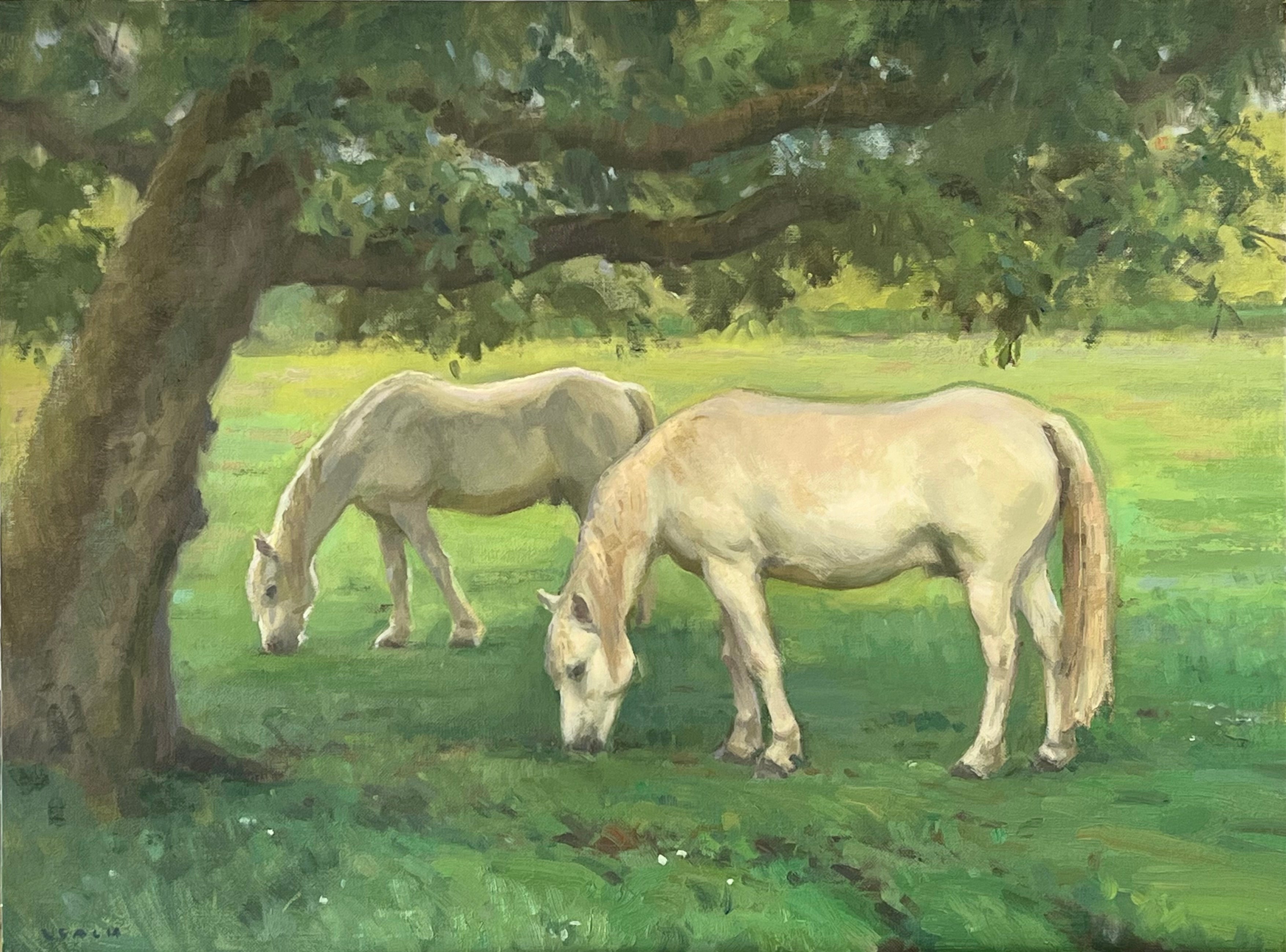 Les Chevaux