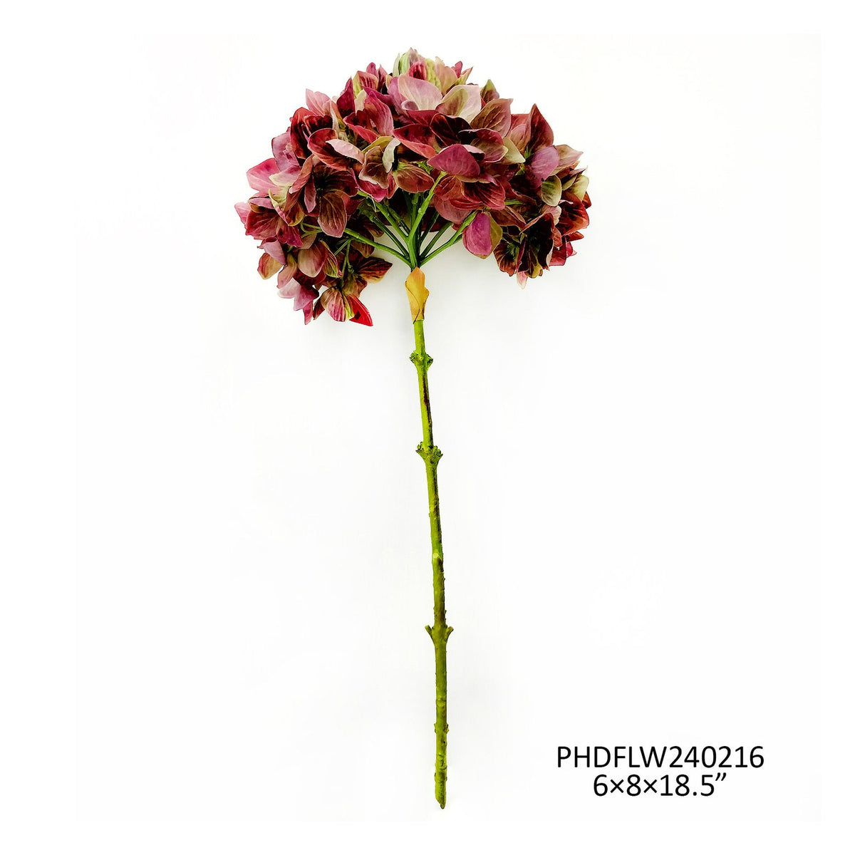 Hydrangea Burgundy