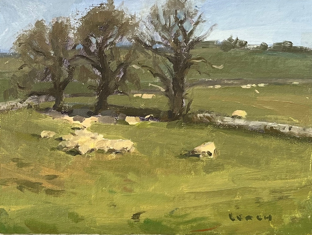 Rolling Hills of Somerset