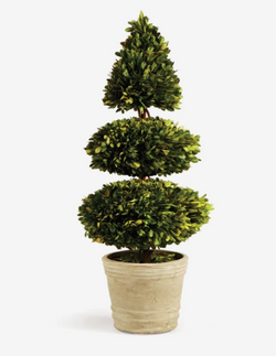 Boxwood Double Ball and Cone Topiary
