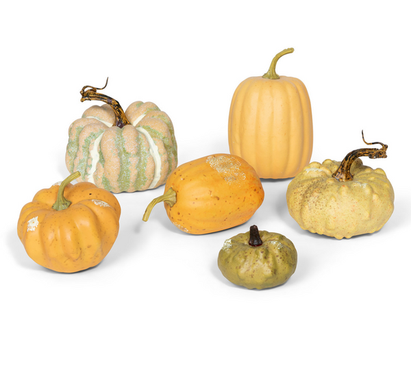 Miniature Pumpkins- Set of 6 Assorted Styles