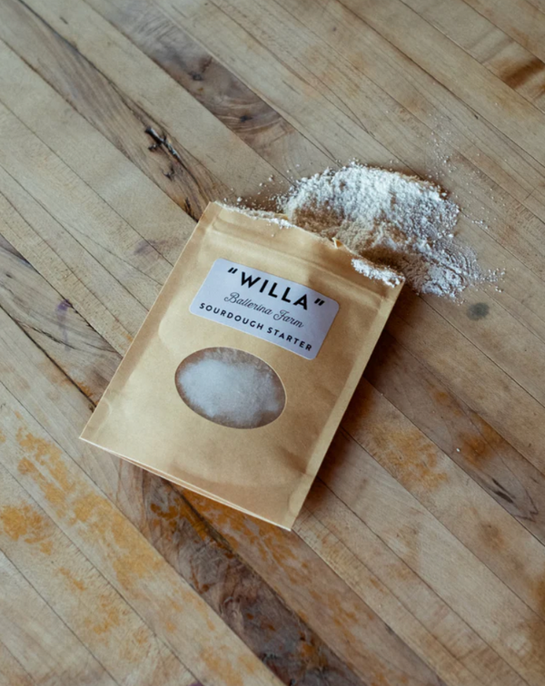 Willa Sourdough Starter - Ballerina Farm