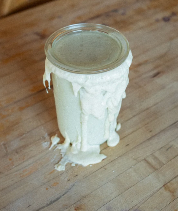 Willa Sourdough Starter - Ballerina Farm