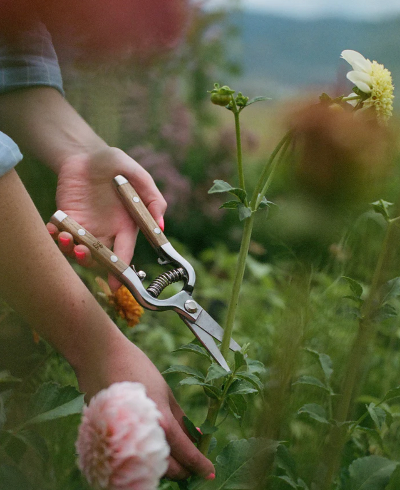 Flower Shears