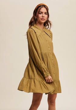 Peterpan Collar Button Front Dress