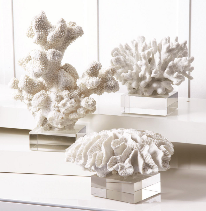 White Coral Sculpture on Glass Stand