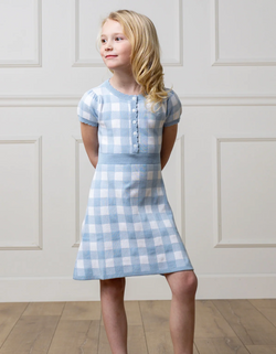 Blue Gingham Button Front Sweater Dress