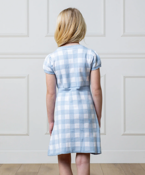 Blue Gingham Button Front Sweater Dress